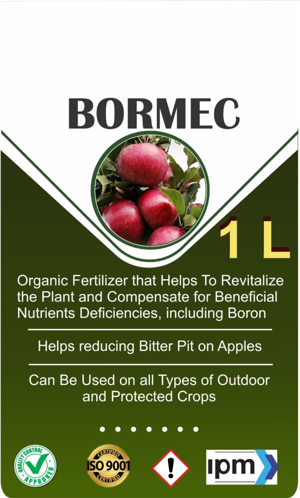BORMEC